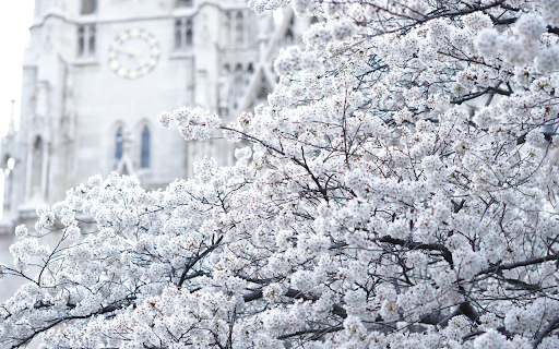 White snowflakes  from Chrome web store to be run with OffiDocs Chromium online