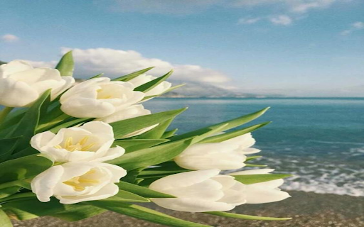 White tulips next to sea wallpaper  from Chrome web store to be run with OffiDocs Chromium online