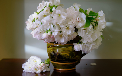 White Vase  from Chrome web store to be run with OffiDocs Chromium online