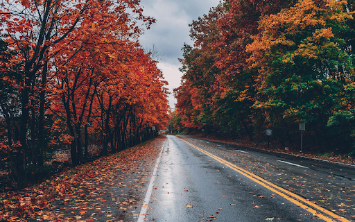 Wide Angle Photo Of Road  from Chrome web store to be run with OffiDocs Chromium online