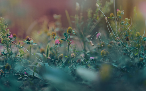 Wildflower garden  from Chrome web store to be run with OffiDocs Chromium online