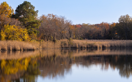 Wild lake  from Chrome web store to be run with OffiDocs Chromium online