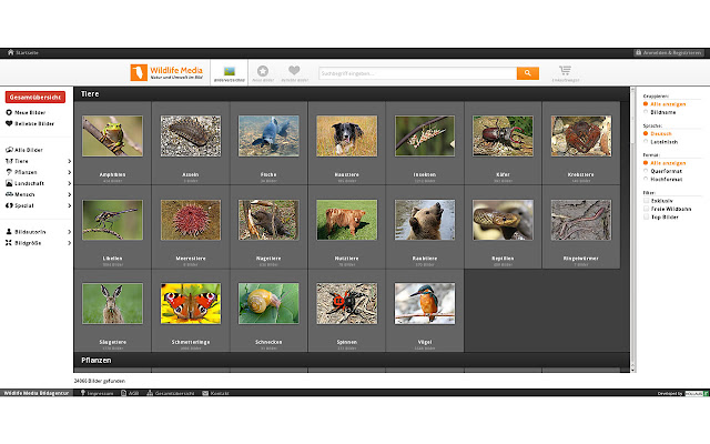 Wildlife Media  from Chrome web store to be run with OffiDocs Chromium online