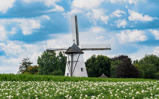 Windmill and flower field  from Chrome web store to be run with OffiDocs Chromium online