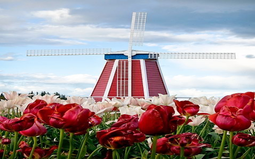 windmill wallpaper  from Chrome web store to be run with OffiDocs Chromium online