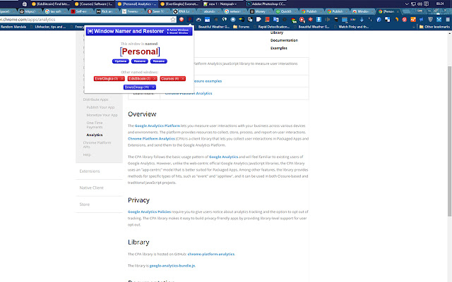 Window Namer and Restorer BETA  from Chrome web store to be run with OffiDocs Chromium online