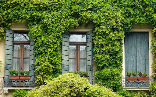 Windows and climbing plants  from Chrome web store to be run with OffiDocs Chromium online