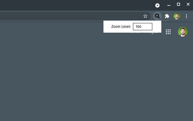 Window Zoom  from Chrome web store to be run with OffiDocs Chromium online