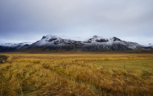 windy day field  from Chrome web store to be run with OffiDocs Chromium online