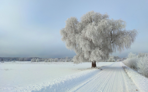 Winter and White Snow  from Chrome web store to be run with OffiDocs Chromium online