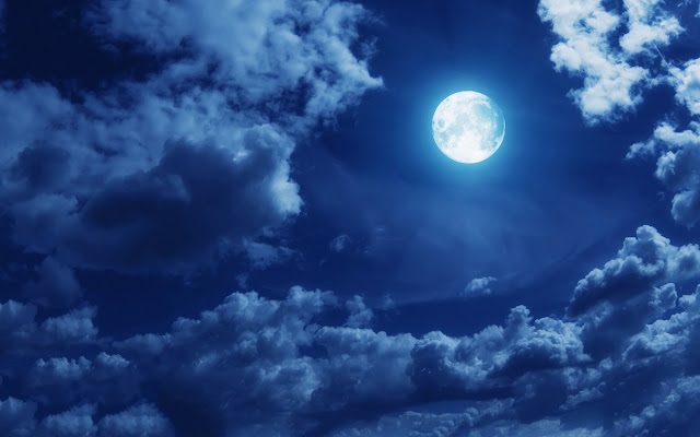 Winter Blossom  from Chrome web store to be run with OffiDocs Chromium online