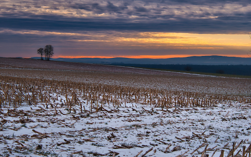 Winter corn stalks  from Chrome web store to be run with OffiDocs Chromium online