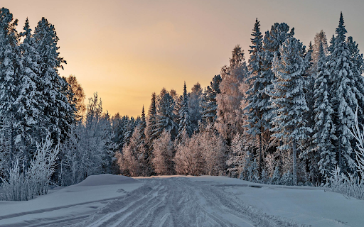 Winter Forest Road  from Chrome web store to be run with OffiDocs Chromium online