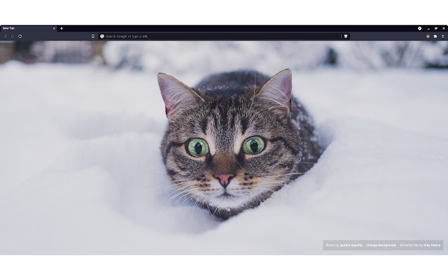 Winterly Tab  from Chrome web store to be run with OffiDocs Chromium online