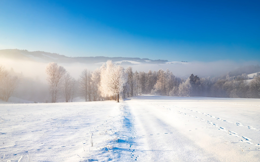 Winter Path Through a Frozen Countryside  from Chrome web store to be run with OffiDocs Chromium online