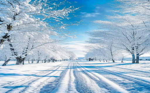 Winter road wallpaper  from Chrome web store to be run with OffiDocs Chromium online