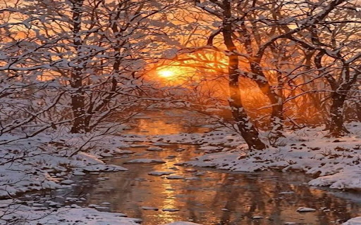 Winter wallpaper features a stream flowing through a snow covered forest  from Chrome web store to be run with OffiDocs Chromium online