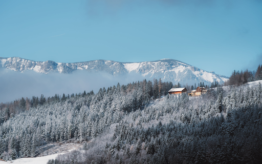 Winter Wonderland in Styrias Snowy Mountains  from Chrome web store to be run with OffiDocs Chromium online