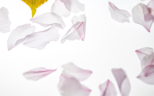 Withered petals  from Chrome web store to be run with OffiDocs Chromium online
