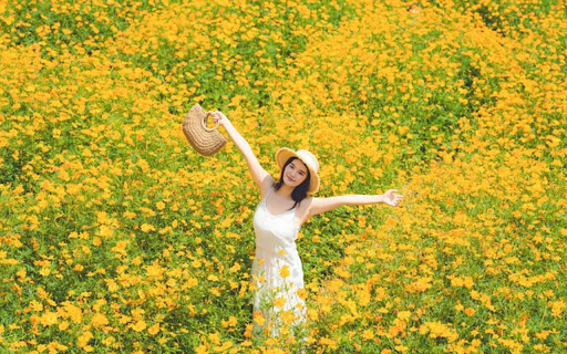 WOMAN AND FLOWERS Theme  from Chrome web store to be run with OffiDocs Chromium online