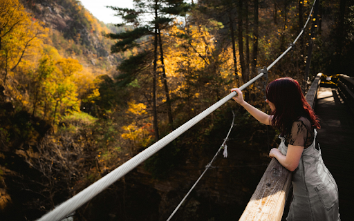 Woman gazing from bridge amidst autumn forest  from Chrome web store to be run with OffiDocs Chromium online