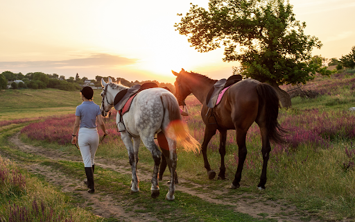Woman leading two horses in sunset landscape  from Chrome web store to be run with OffiDocs Chromium online