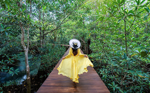 woman walking nature park  from Chrome web store to be run with OffiDocs Chromium online