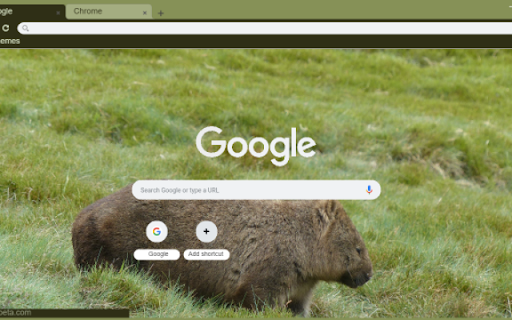Wombat  from Chrome web store to be run with OffiDocs Chromium online