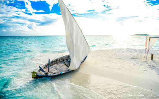 Wooden boat ran aground  from Chrome web store to be run with OffiDocs Chromium online