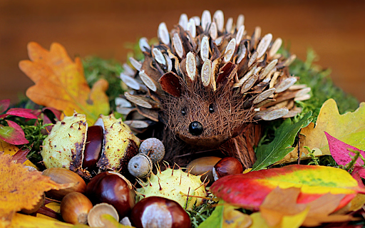 Wooden hedgehog  from Chrome web store to be run with OffiDocs Chromium online