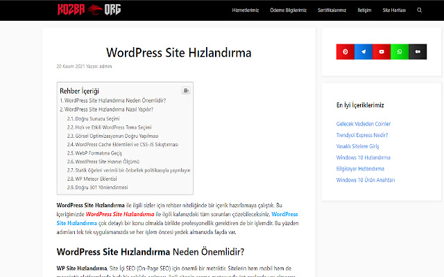 WordPress Site Hızlandırma  from Chrome web store to be run with OffiDocs Chromium online