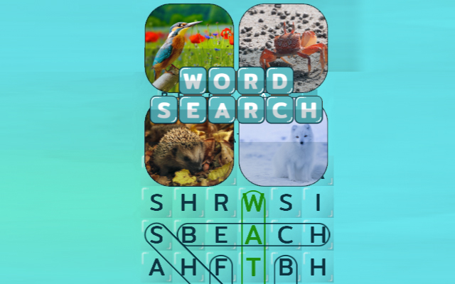 Word Search Pictures  from Chrome web store to be run with OffiDocs Chromium online