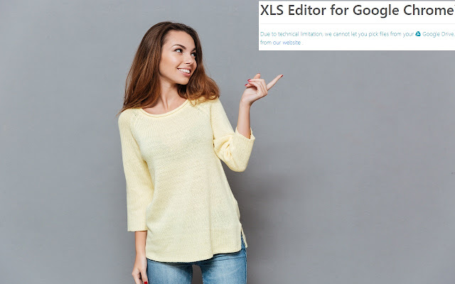 XLS Editor for Google Chrome™  from Chrome web store to be run with OffiDocs Chromium online