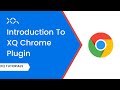 XQ Secure Gmail  from Chrome web store to be run with OffiDocs Chromium online
