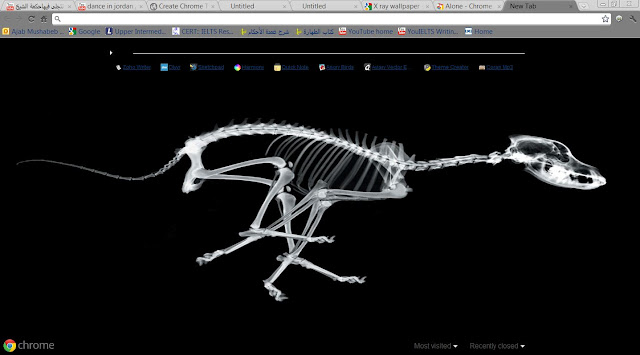 X Ray Dog  from Chrome web store to be run with OffiDocs Chromium online