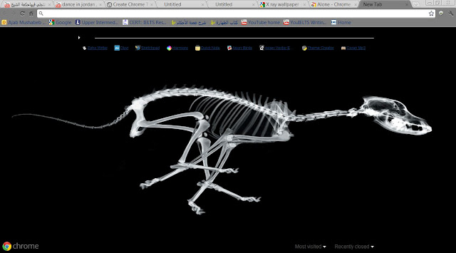 X Ray Dog із веб-магазину Chrome, який можна запускати за допомогою OffiDocs Chromium онлайн