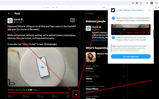 X Twitter Video and Picture Batch Downloader  from Chrome web store to be run with OffiDocs Chromium online