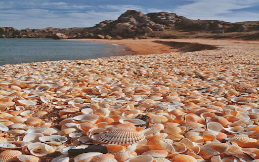 xvip Sea shell beach wallpaper  from Chrome web store to be run with OffiDocs Chromium online