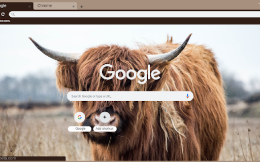 Yak  from Chrome web store to be run with OffiDocs Chromium online