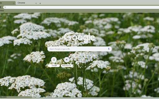 Yarrow  from Chrome web store to be run with OffiDocs Chromium online