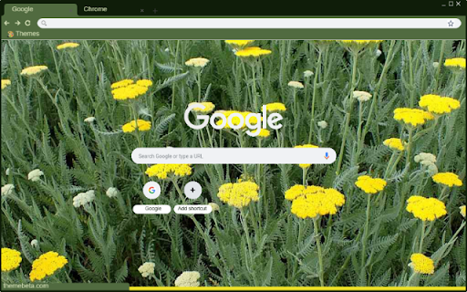 Yarrow Moonshine  from Chrome web store to be run with OffiDocs Chromium online