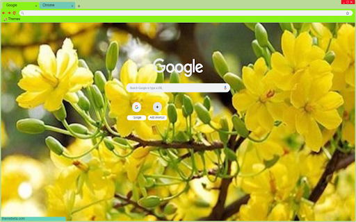 yellow apricot flowers  from Chrome web store to be run with OffiDocs Chromium online