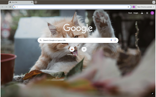 yellow cat  from Chrome web store to be run with OffiDocs Chromium online