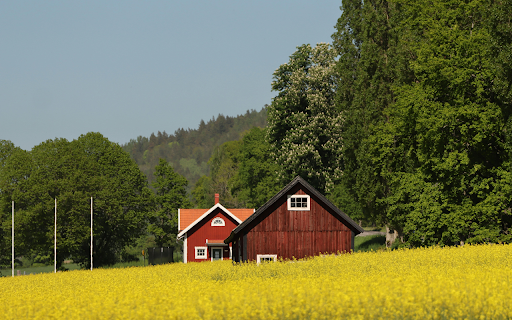 Yellow Field in Jonkoping County  from Chrome web store to be run with OffiDocs Chromium online