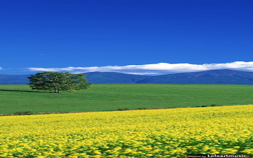 yellow flower field wallpaper  from Chrome web store to be run with OffiDocs Chromium online
