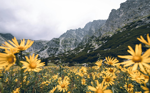 Yellow Flowers at the Foot of the Mountain  from Chrome web store to be run with OffiDocs Chromium online