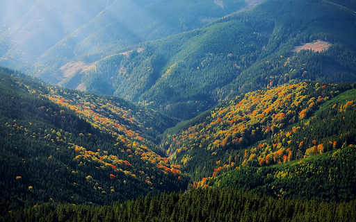 Yellow flowers on the mountain  from Chrome web store to be run with OffiDocs Chromium online