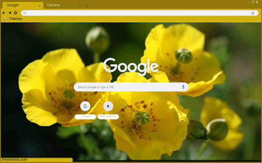 Yellow Horned Poppy  from Chrome web store to be run with OffiDocs Chromium online