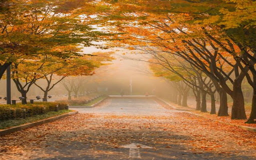 yellow leaf road wallpaper from Chrome web store to be run with OffiDocs Chromium online yellow leaf road wallpaper from Chrome web store to be run with OffiDocs Chromium online