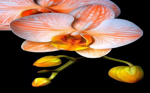 yellow orchid wallpaper  from Chrome web store to be run with OffiDocs Chromium online